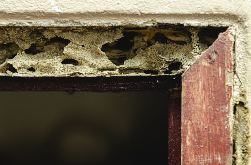 Cost of Wood Repair — Cost of Wood Repair