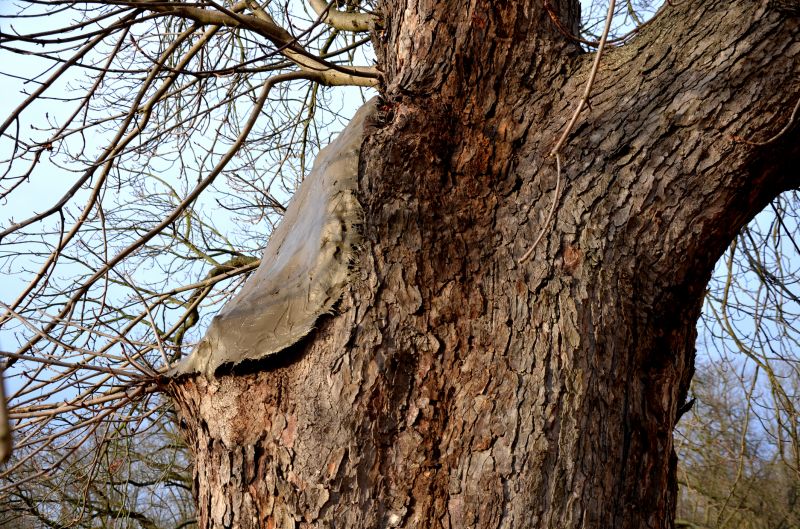 Protective Treatments